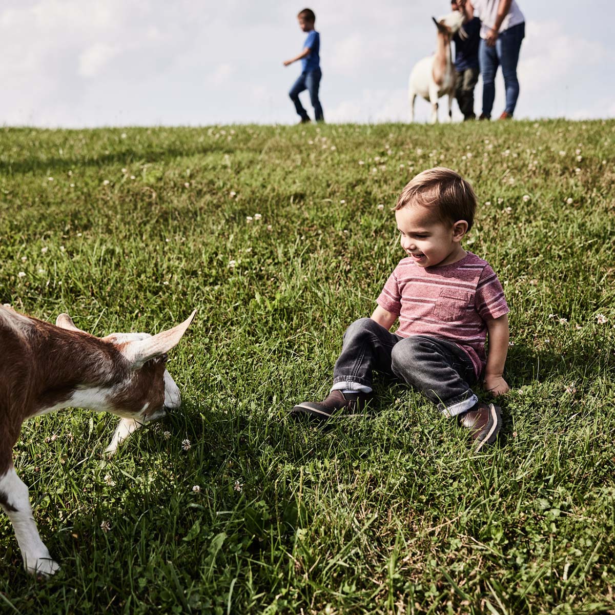 Child sitting on grass with a goat in a field